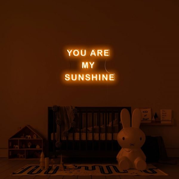 you are my sunshine neon sign